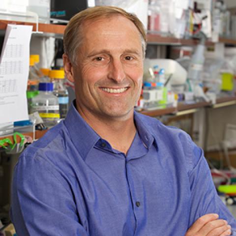 Dr. Karl Willert